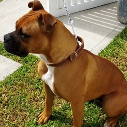 D 9eb31dfd 8f6e 40a7 b1e2 7302cf14041f