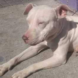 D 971f9667 26e6 4db8 8a00 ba1bf35fd97f