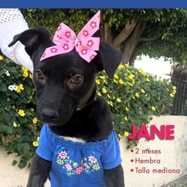 D 63328d8a 4481 49e8 880c fddac8ed01f0