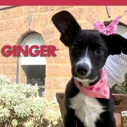 D 3927918f 3706 425c a1a7 08d2e48aae97