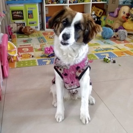 D b5e7acc1 d67d 4fe0 b2f9 1ae0e9a5586b