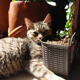 D 5f05bc47 12c2 466b 8a38 3ff16e1764a4