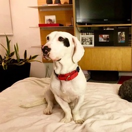 D b107be24 04a3 4a73 9c97 10b4f1bf84cd