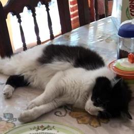 D f6f3bf27 b81a 463e 94b0 fc11e82363df