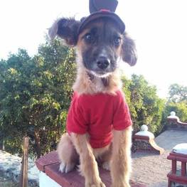 D b9f01a76 4b12 4a7f 850c 9d54fb401f49