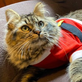 D f94f3e42 cc6d 4d10 b80a 82f095c5c467