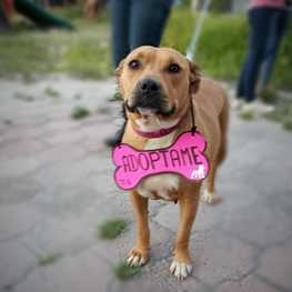 D b071d4c4 cf2b 41e3 acfb b944a3b3c140