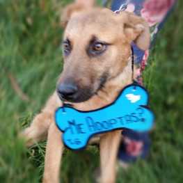 D fe0fd2e7 4c76 4c8b 9b02 211d2e2b59e7