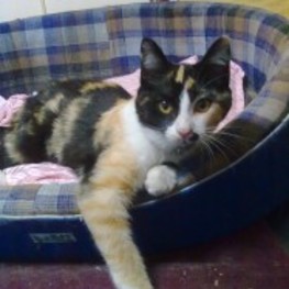 D 1125debf 08a8 4c7f ae78 6c5e07b61497