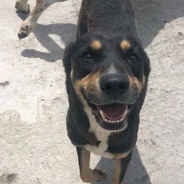 D 2668a24b 9763 45e7 939a 452adde1d6f9