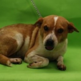 D 84da9e74 3877 4fcc bf0a ee8ce52b9116