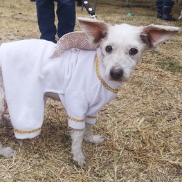 D c8638aaa 826d 4d44 842e 5c67f0332b38