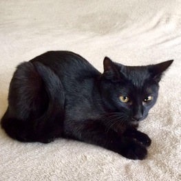 D 10294147 82c4 481c a26f 8710dd39c07d