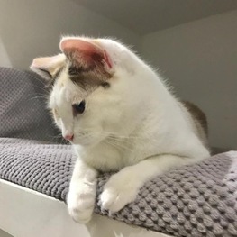 D 0ffbea55 1ac2 47d5 9d09 1f7aec66485d