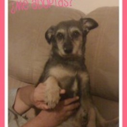 D 9be4e8dc 9e13 4bb9 8abf f873f00fd551