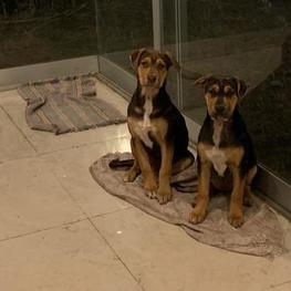 D 288d9d63 ccd1 4e45 b41f 300a5df708b2