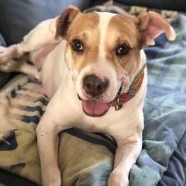 D d9144de9 4b31 4d9f a73c 3f34d063cc38