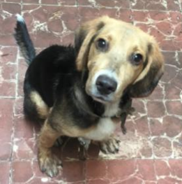 D d2a656fa df55 4146 9934 9ec97d42a8dd