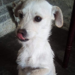 D 6e92997d 30de 40c0 9ff2 3921d5cd8f9f