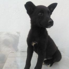 D 5d71fddb 63ee 45fb a78c c87d02cdb8b7