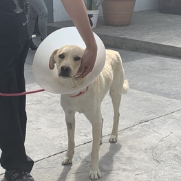 D 3bd2f456 1cf1 4867 bbb6 f34771bd31f5