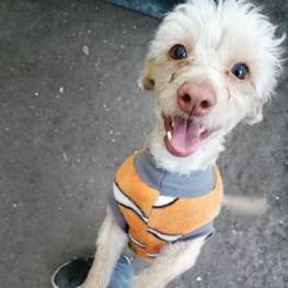 D 56a71cf0 d398 458a 8785 f77b96f825ab