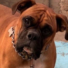 D a563cb1c ac3a 4955 8cc1 d4ea6556bd95