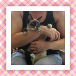 D 5def9045 0767 4192 b131 0d1fe11d1ead