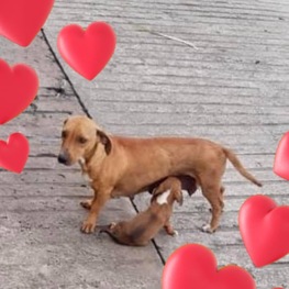 D 0d14f646 5432 47d8 83f7 0333899c2f69