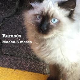 D 9d9cab02 24bd 4846 87ec 58d4252353c6