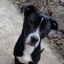 D 2038e17a d5b3 4213 b6a7 048165020cf1