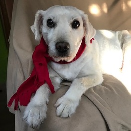 D dfa32f04 8169 4076 96f9 775d431f0568