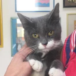 D 07f07b84 2150 42ac 81a2 9c2726255aec