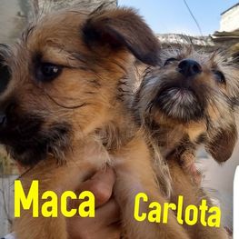 D 61e8894d e0c7 4e68 91fe 93d873048db0