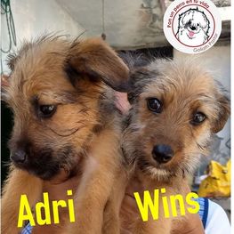 D d3b35ed7 3661 4dc7 b49f 4659853cb87b