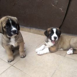 D 0d7057b8 c3ba 4097 bbaa 9f85c1c1109a