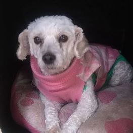 D 4ccc14ce a2cb 4648 bd65 aae835bcbb6f