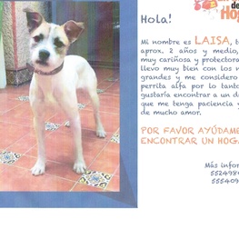 D 463e7c27 27b1 4a44 8e80 f7676a297681