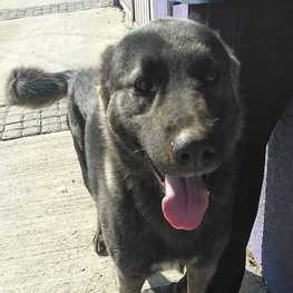 D beb405a8 1b44 4735 900a 9b1157ee6a77