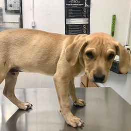 D 90abff49 eb7b 490f 84f1 0bd6d8bd712c