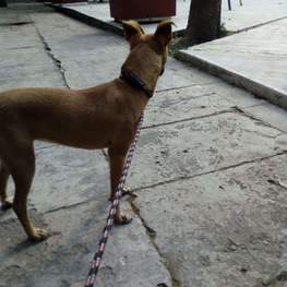 D 747abc89 9da8 4524 8657 736507069101