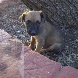 D 4b360ddd 8c08 429f 8d75 ff40a2205ace