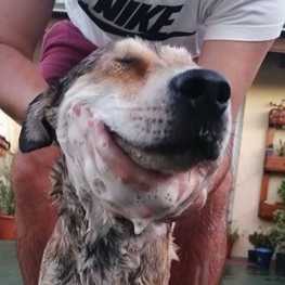 D f74ec738 8c54 473e a035 4ad12ca70a85