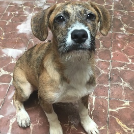 D 289912c1 cb16 4dec be76 03ea34582561