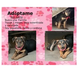 D 927f7e06 a5c8 4058 b900 63424d524093