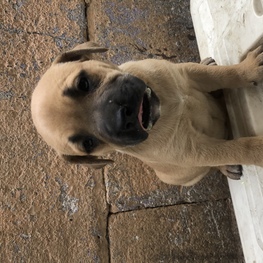 D 7bba3836 a83a 4e37 9b0f 7462b77b44d7