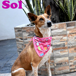 D bad4f060 6c14 445e a762 4d445f2f4176