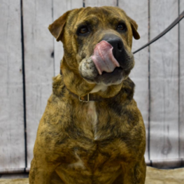 D eefacfd6 a441 493b 85b1 c31fa99df4a9