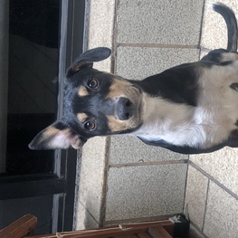 D 99602aed 0c43 4250 91dd dbcf1a765285