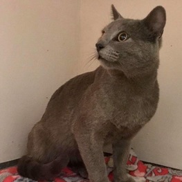 D 98d915ac fc1e 4776 8434 e742505fc82b